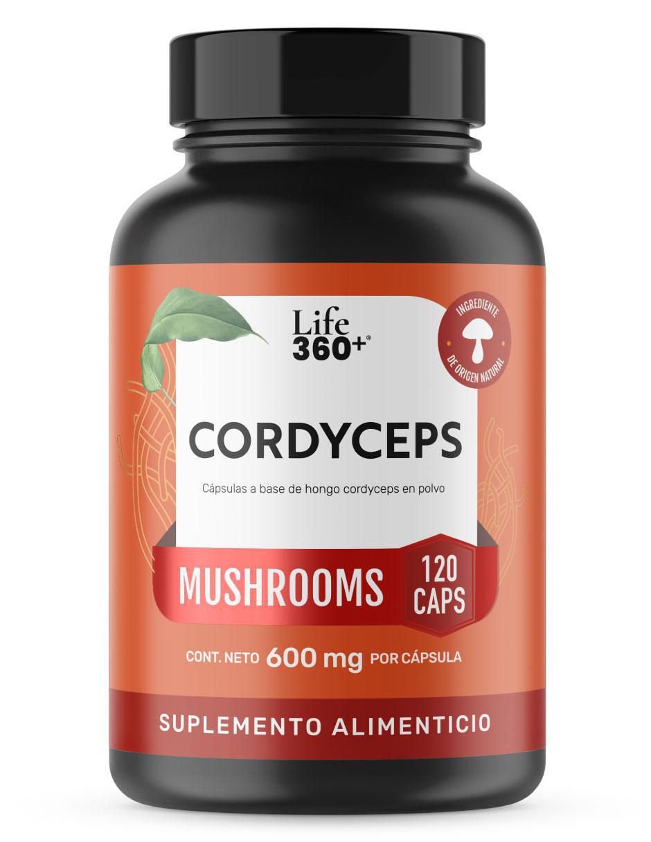 Cordyceps Mushrooms con cordyceps Cordyceps Mushrooms con cordyceps