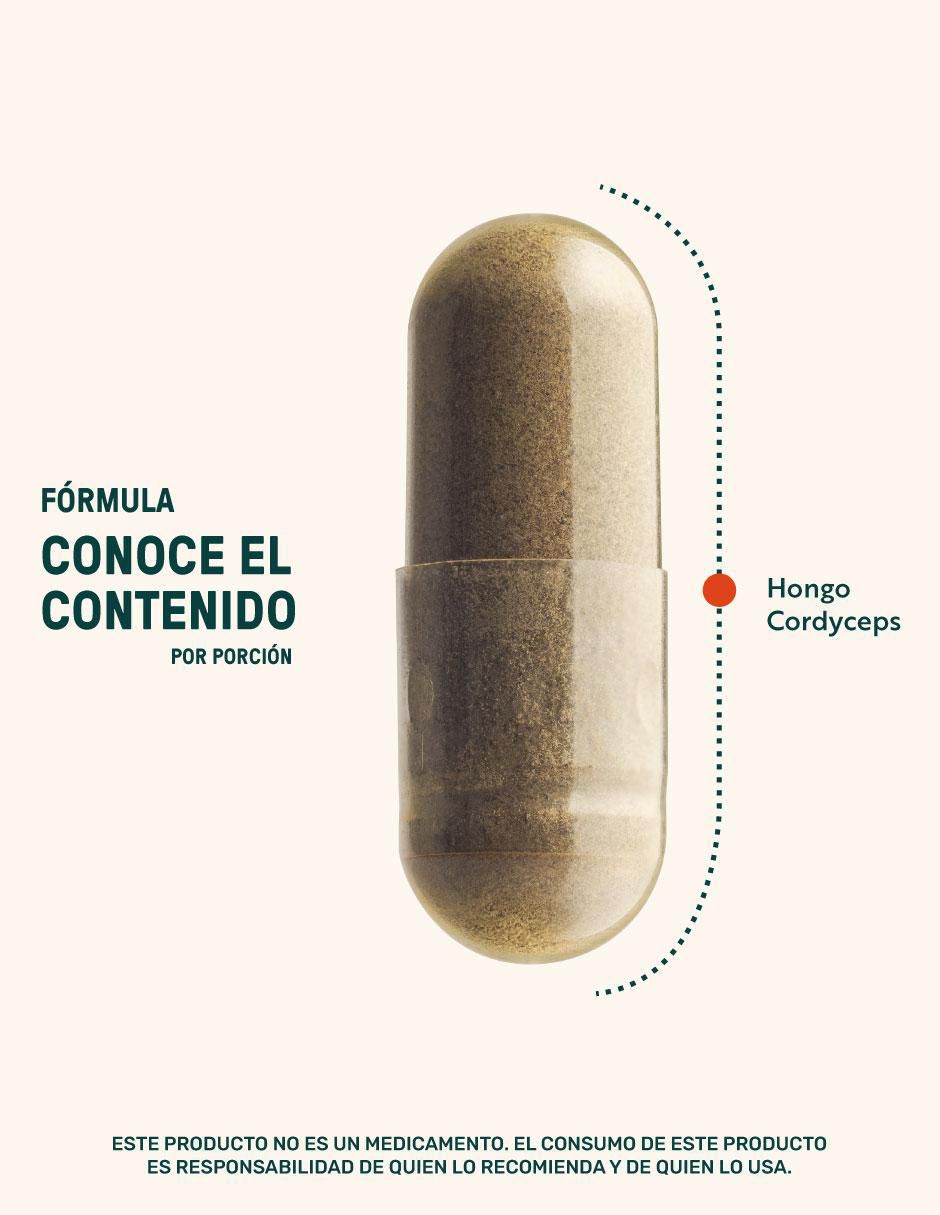 Cordyceps Mushrooms con cordyceps 10
