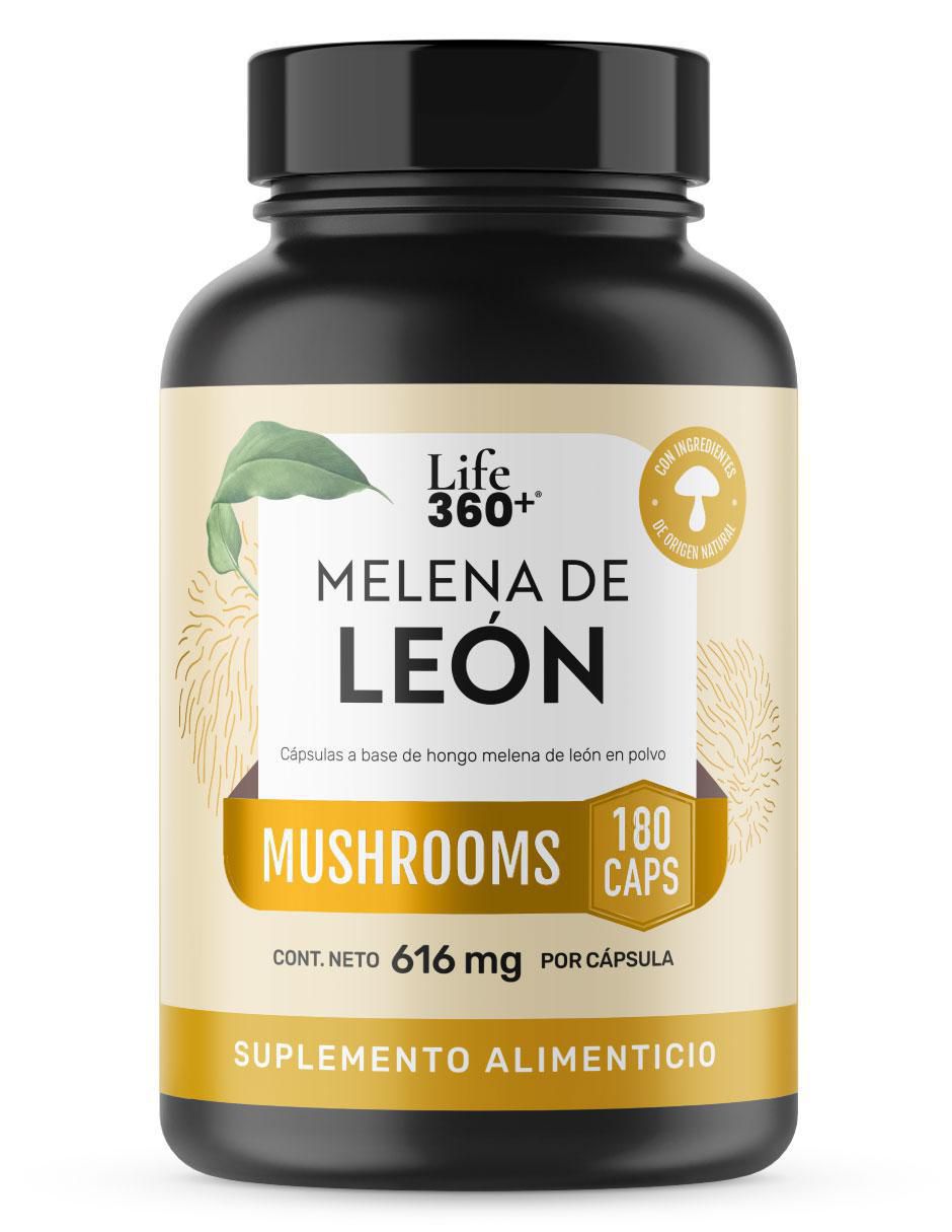 Melena de león Mushrooms con melena de león