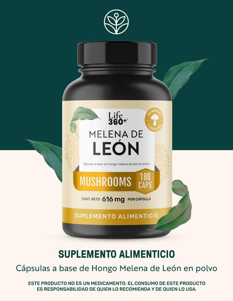 Melena de león Mushrooms con melena de león 9
