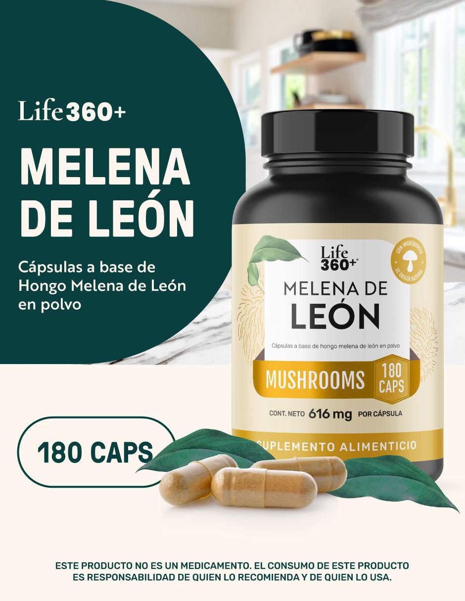 Melena de león Mushrooms con melena de león 11