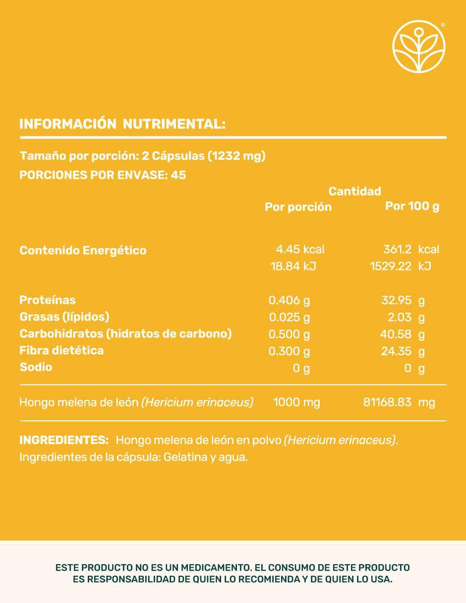 Melena de león Mushrooms con melena de león 12