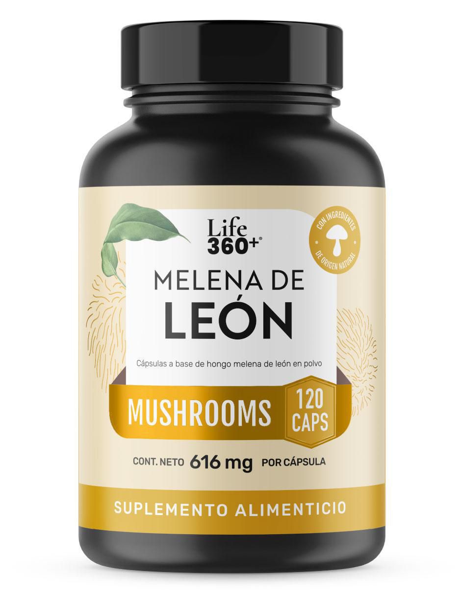Melena de león Mushrooms con melena de león