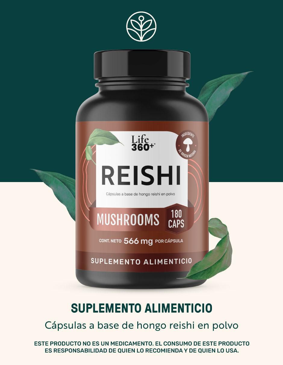 Reishi Mushrooms con hongo reishi 2