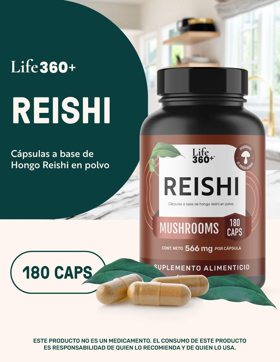 Reishi Mushrooms con hongo reishi 4