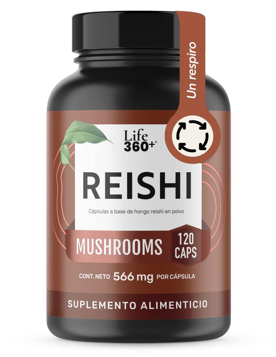 Reishi Mushrooms con hongo reishi