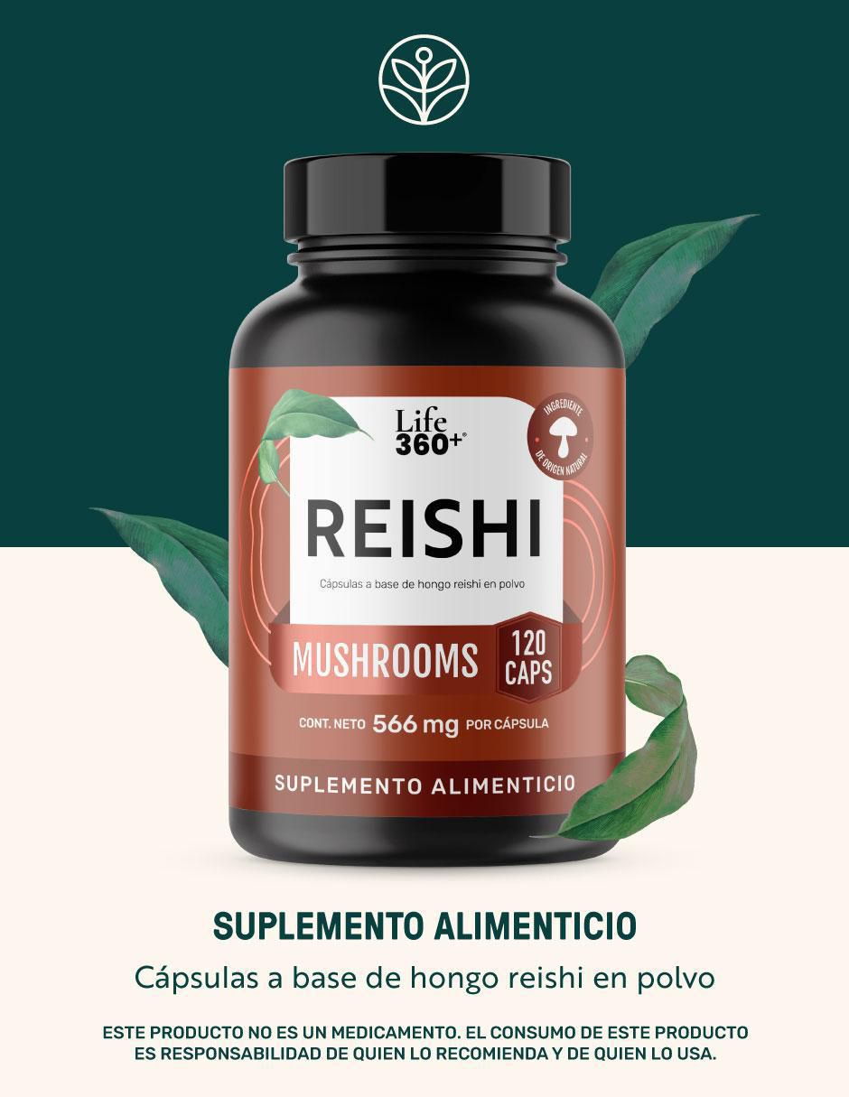 Reishi Mushrooms con hongo reishi