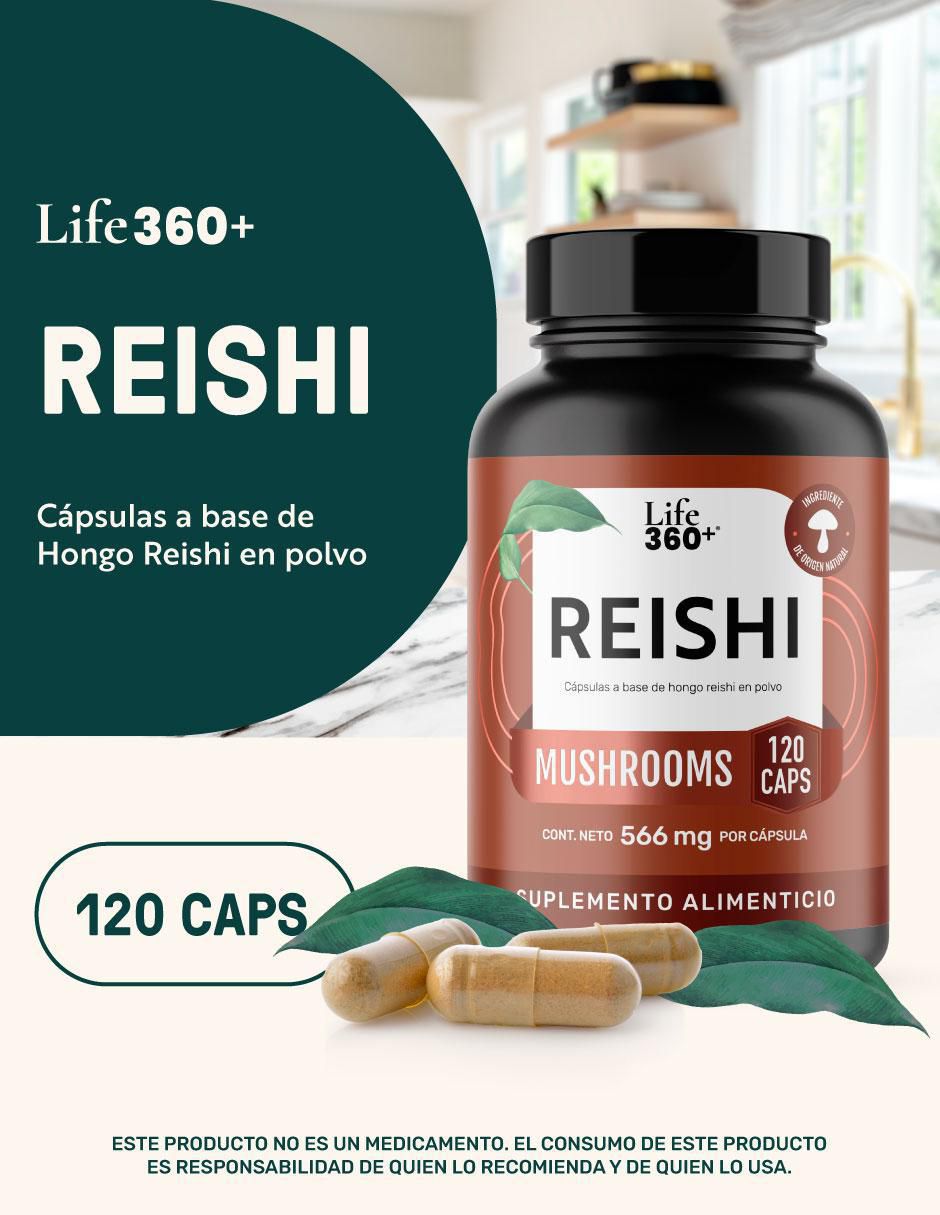 Reishi Mushrooms con hongo reishi