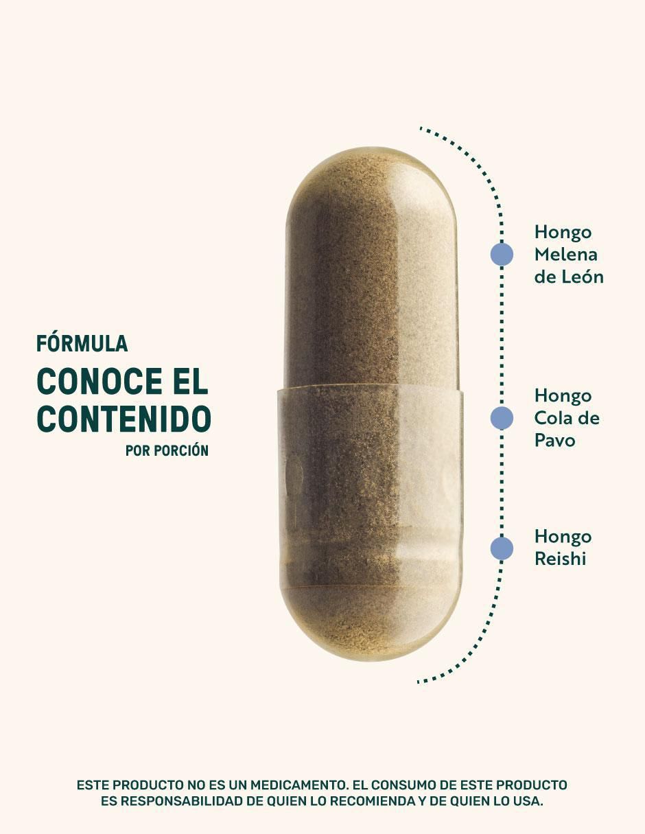 Zen Blend Mushrooms con melena de león, reishi y cola de pavo 3