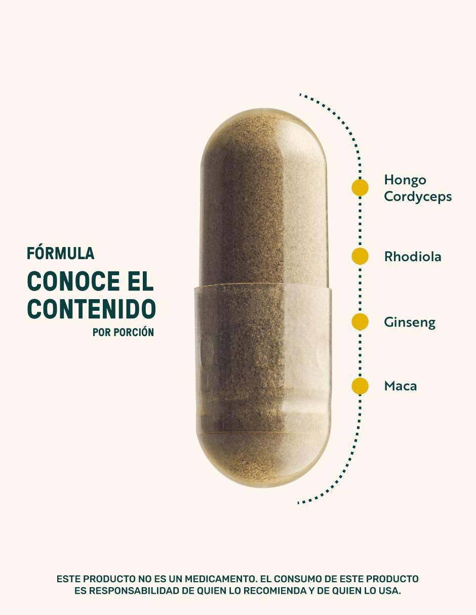 Fuel Up Blend con cordyceps
