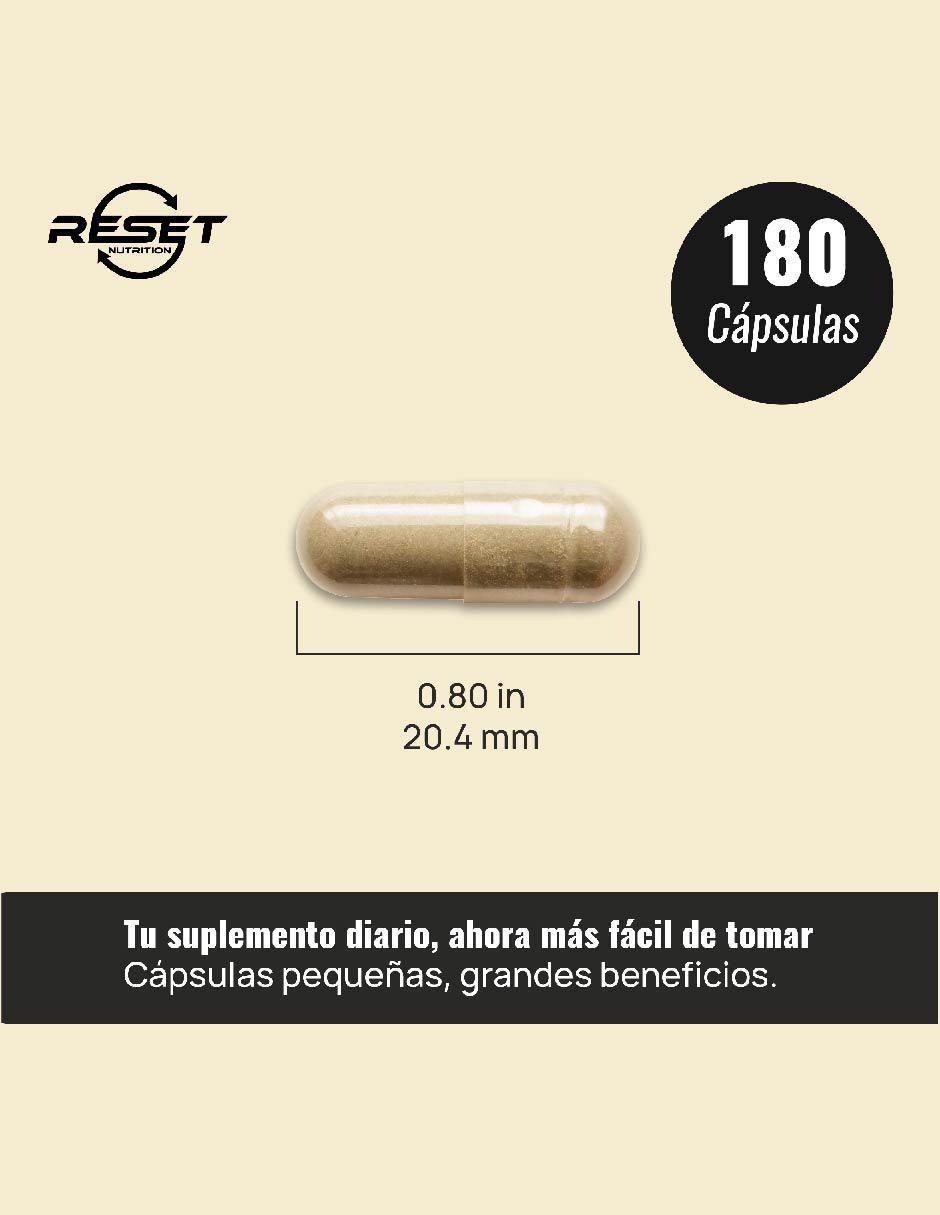 Mushroom Complex – 10 Hongos Adaptógenos para Energía, Memoria, Inmunidad y Antioxidantes Reset Nutrition con hongos cola de pavo reishi maitake shiitake y chaga 3