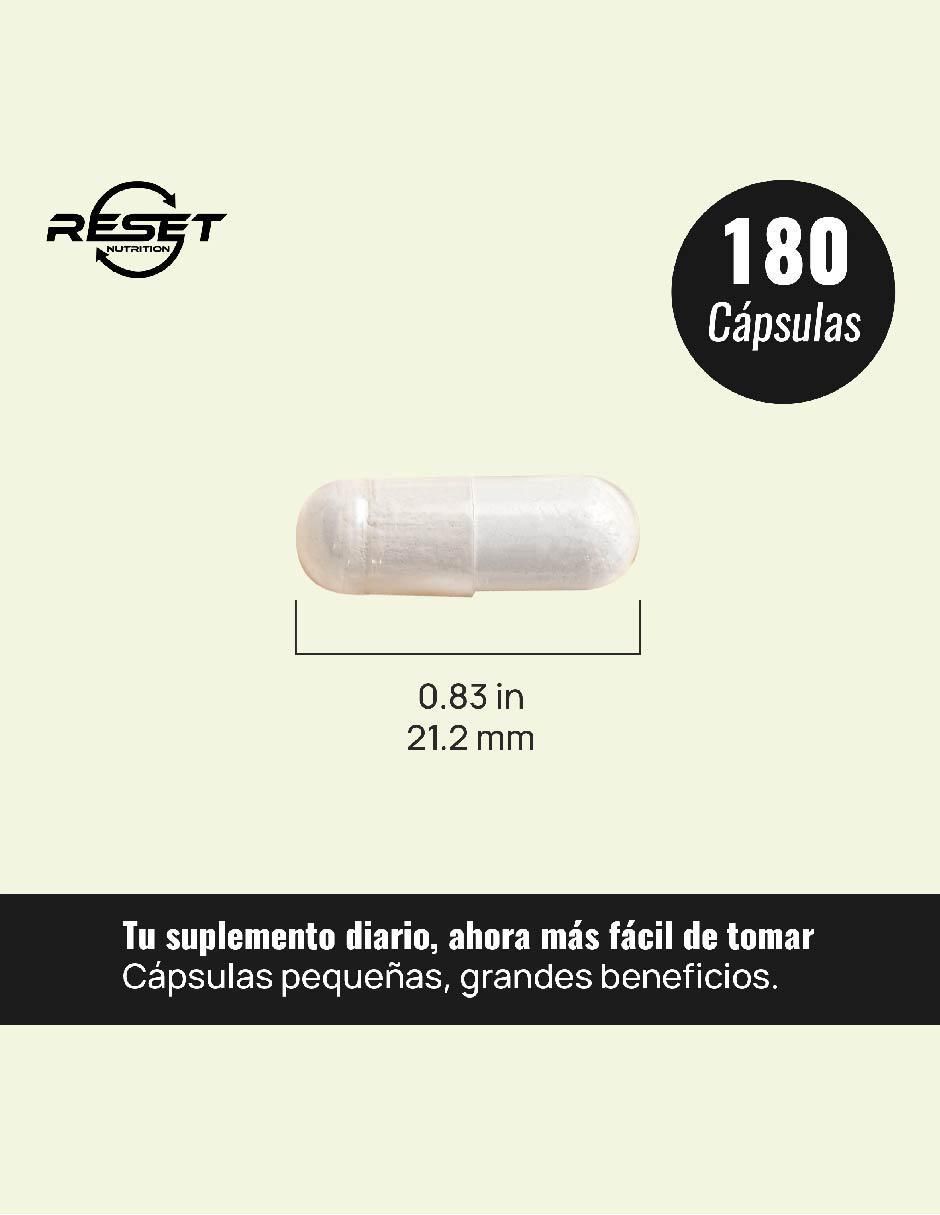 NAC 600 mg – Desintoxicación Hepática, Antioxidante Celular y Apoyo Mental Natural Reset Nutrition con n-acetyl cysteine 3