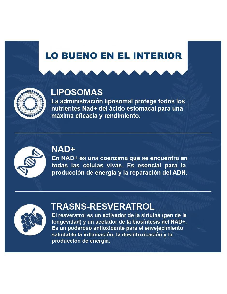 Liposomal Nad+ Trans Resveratrol de 60 cápsulas 4
