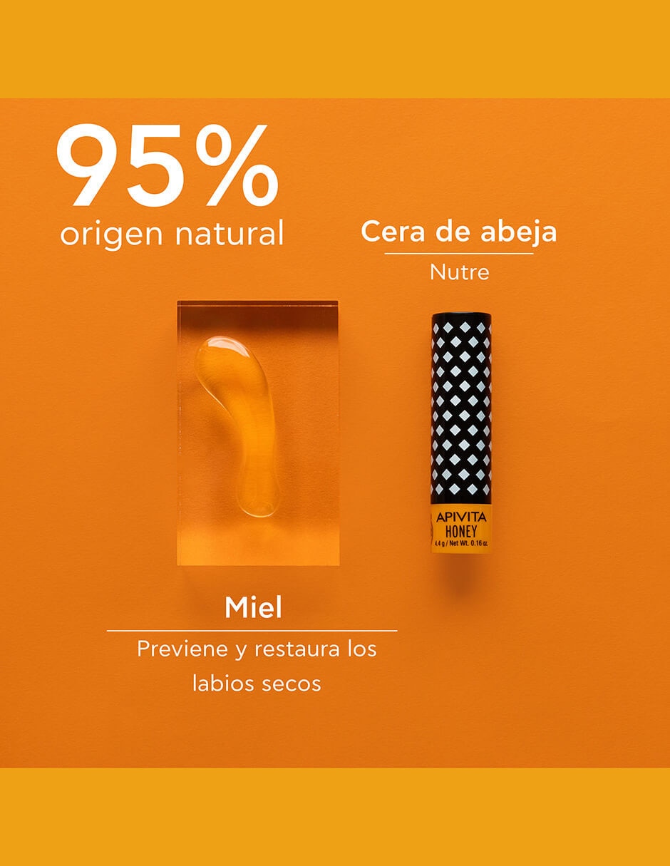 Pomada Lip care de 4.4 g 2