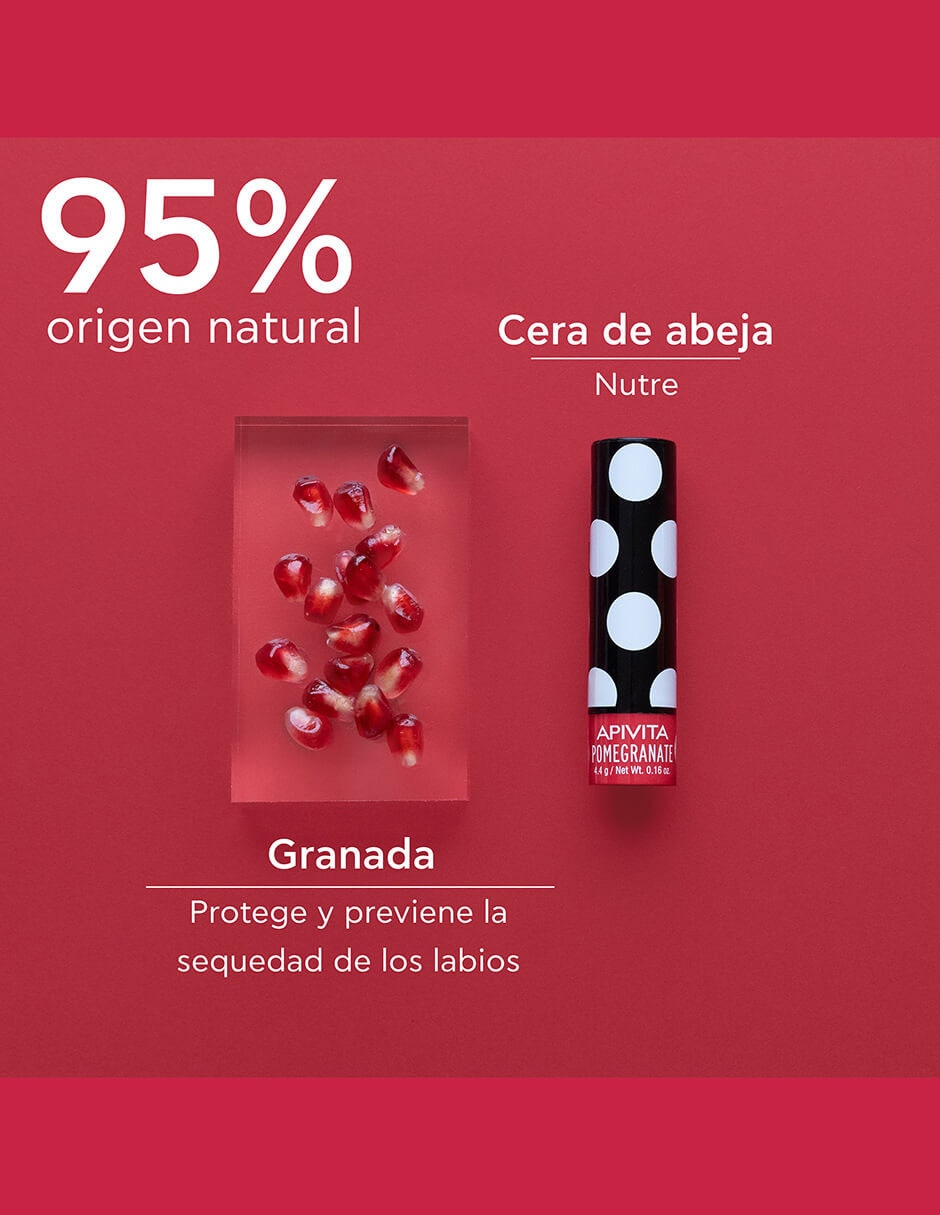 Pomada Lip Care 2