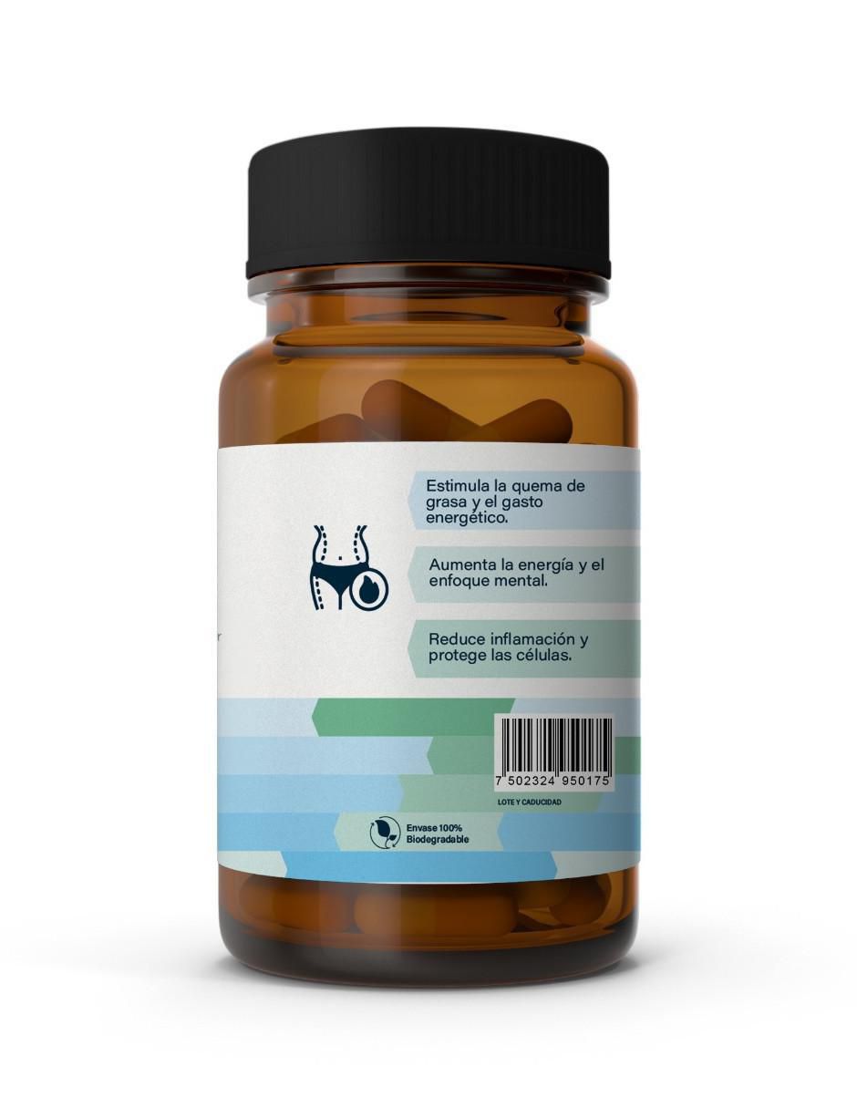 Thermo plus activa el metabolismo, favorece la quema de grasas y potencia tus niveles de energía, suplemento de alta calidad con tongkat ali con sinefrina de 90 cáp 4