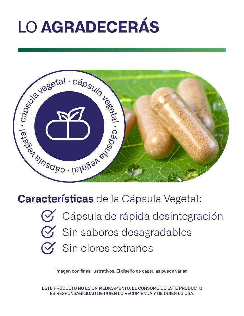 2 Fibras prebiotic blend con inulina (FOS) orgánica proveniente del agave azul de 120 cápsulas 4
