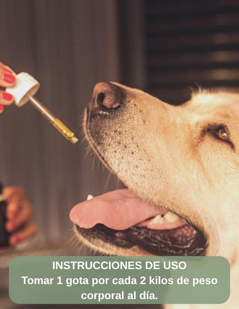 Aceite CBD Mascotas 6