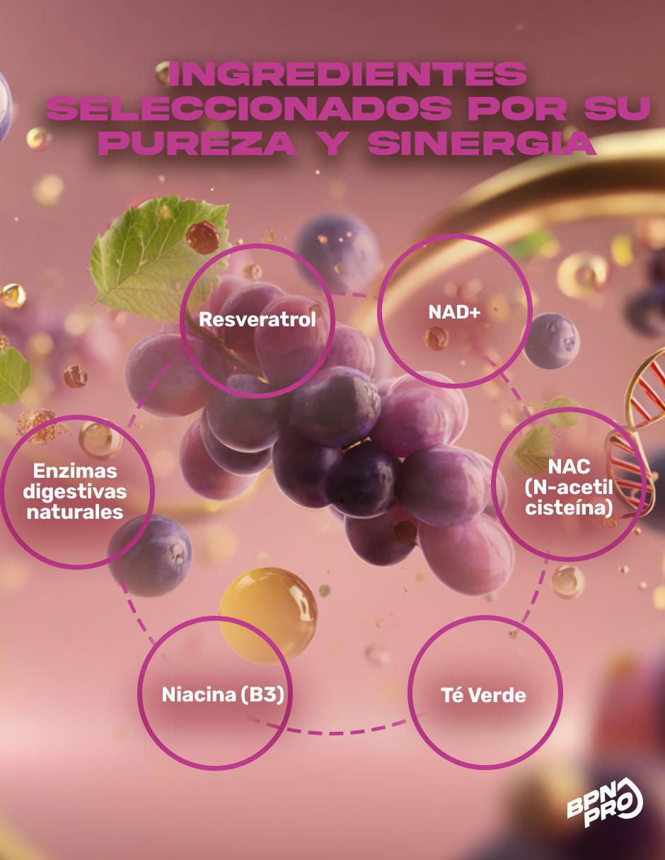 Resvera OX con resveratrol de 60 cápsulas 3