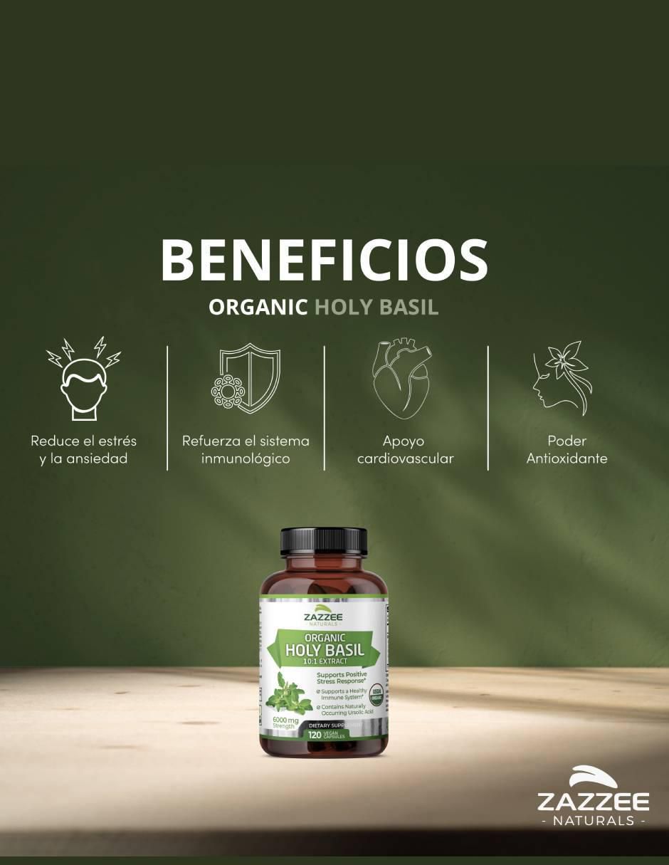 Albahaca sagrada orgánica suplemento antiestrés y apoyo inmunológico con tulsi-holy basil de 120 cápsulas 3