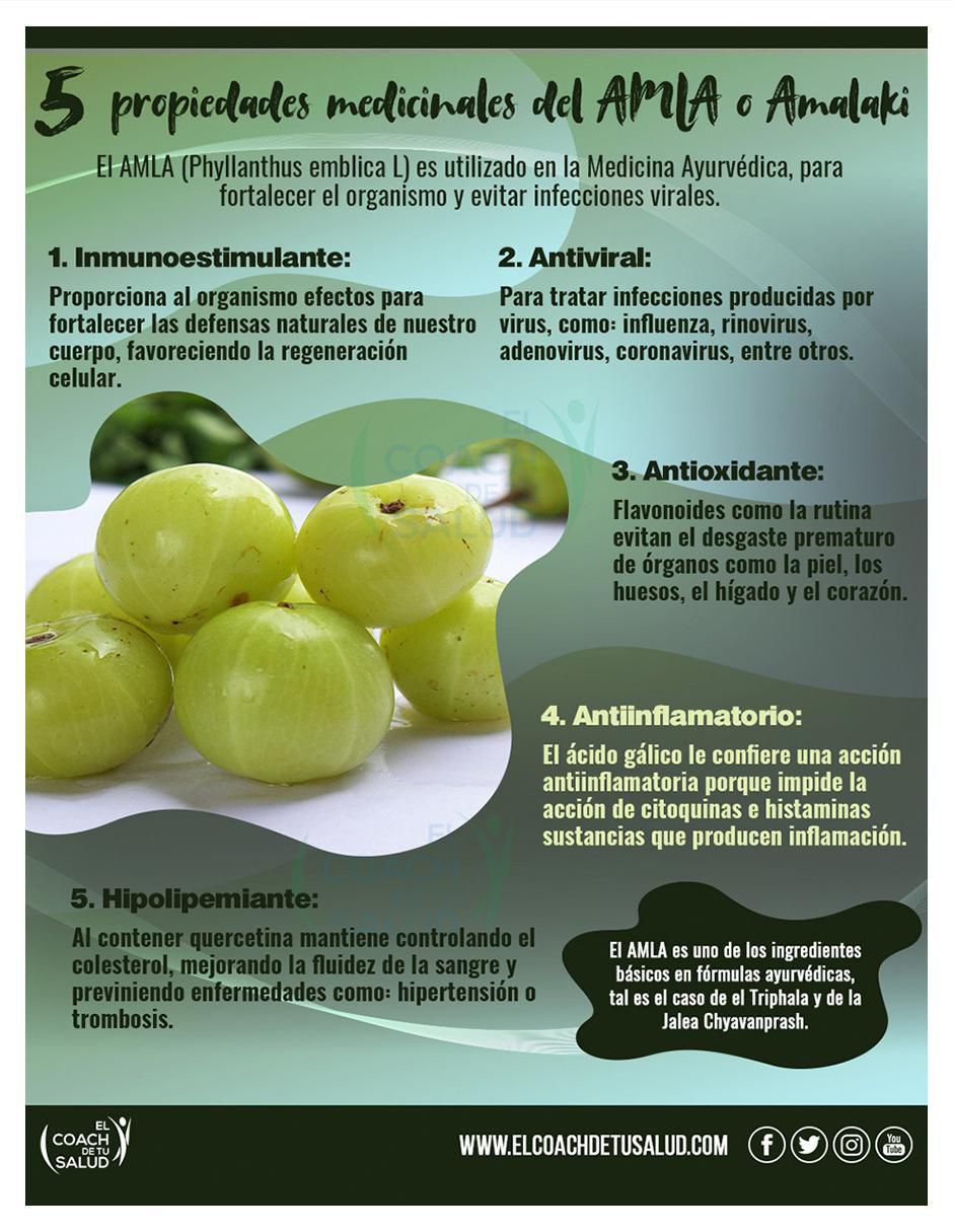 Suplemento alimenticio amla amalaki Sana Terra con amla phyllanthus emblica de 120 cáp 5
