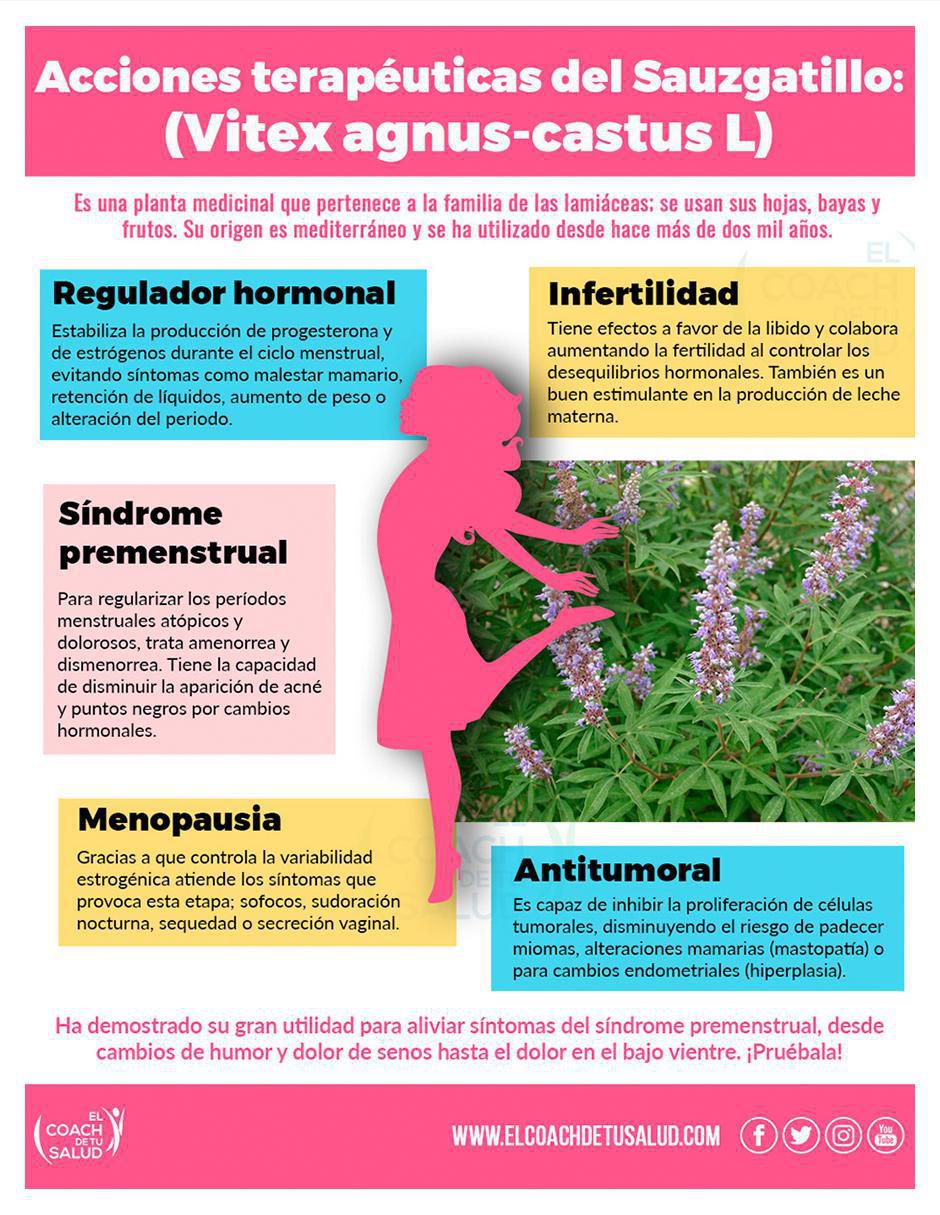Suplemento alimenticio sauzgatillo natural orgánico con alga afa de 60 cáp 4
