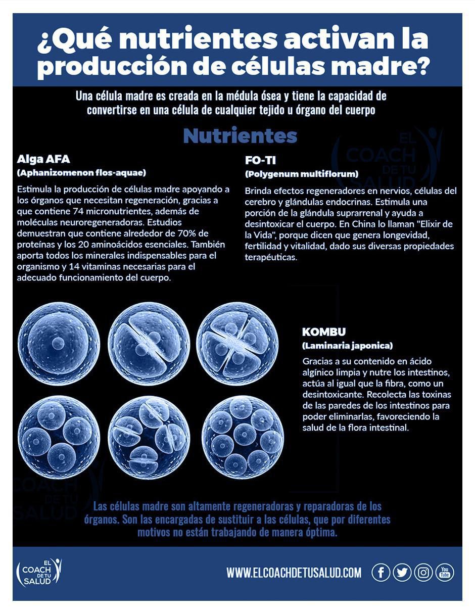 Suplemento alimenticio activador de celulas madre alga afa y fo ti con hongo shiitake de 60 cáp 5
