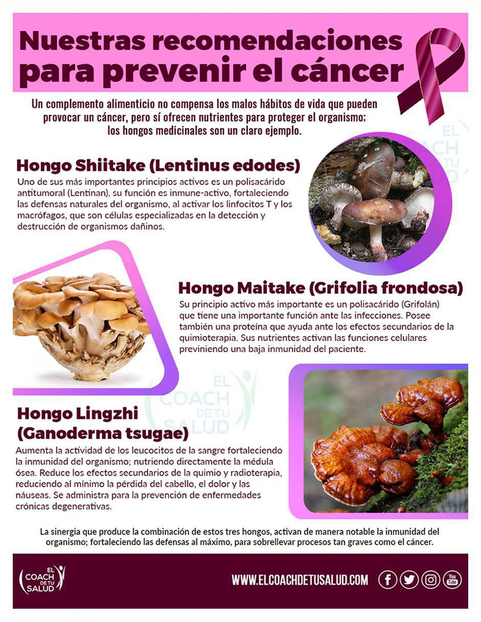 Suplemento alimenticio hongos shiitake maitake y lingzhi con mezcla herbal sueca de 120 cáp 5