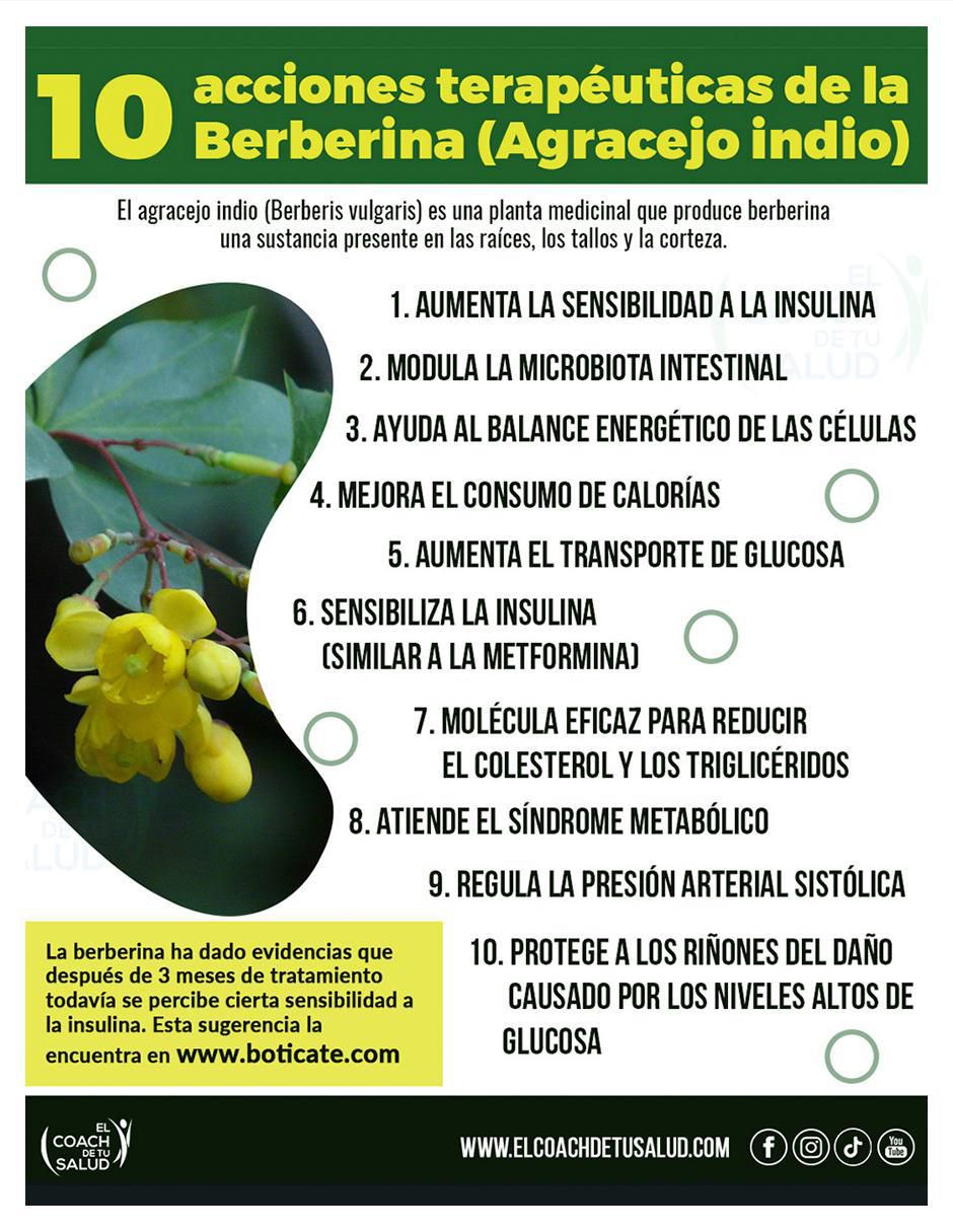 Suplemento alimenticio berberina del agracejo indio de 120 cáp 5