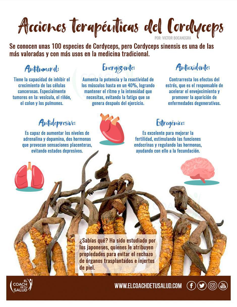 Suplemento alimenticio hongos cordyceps melena de leon cola pavo de 120 cáp 5