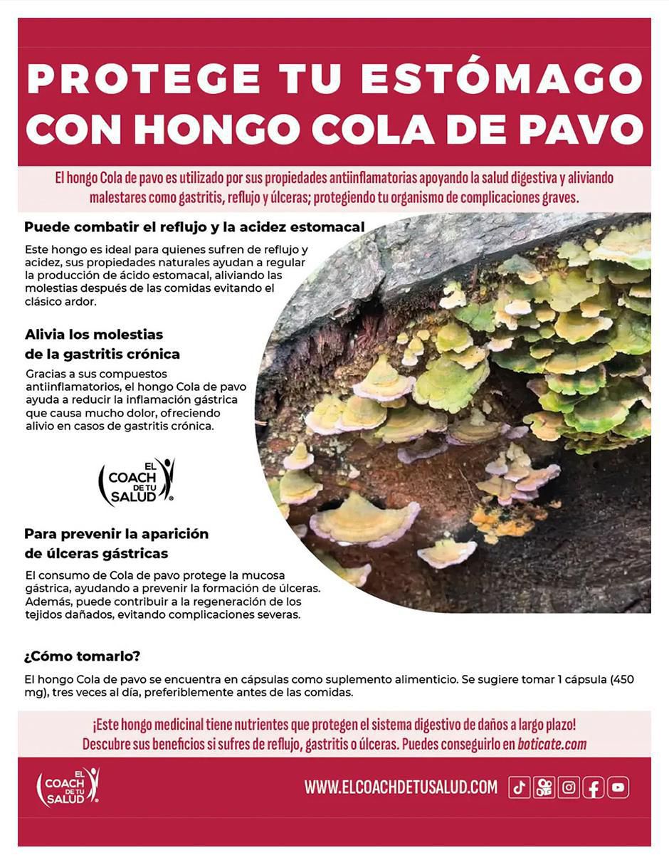 Suplemento alimenticio hongos cordyceps melena de leon cola pavo de 120 cáp 6