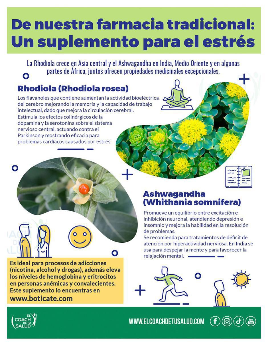 Suplemento alimenticio rhodiola y ashwagandha de 60 cáp 4