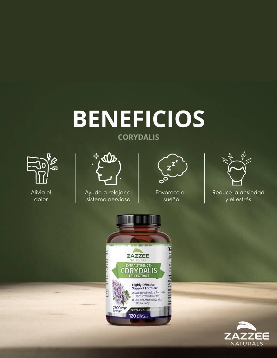 naturals corydalis 7500 mg suplemento apoyo articular y alivio del dolor natural Zazzee con extracto de corydalis de 120 cápsulas 3