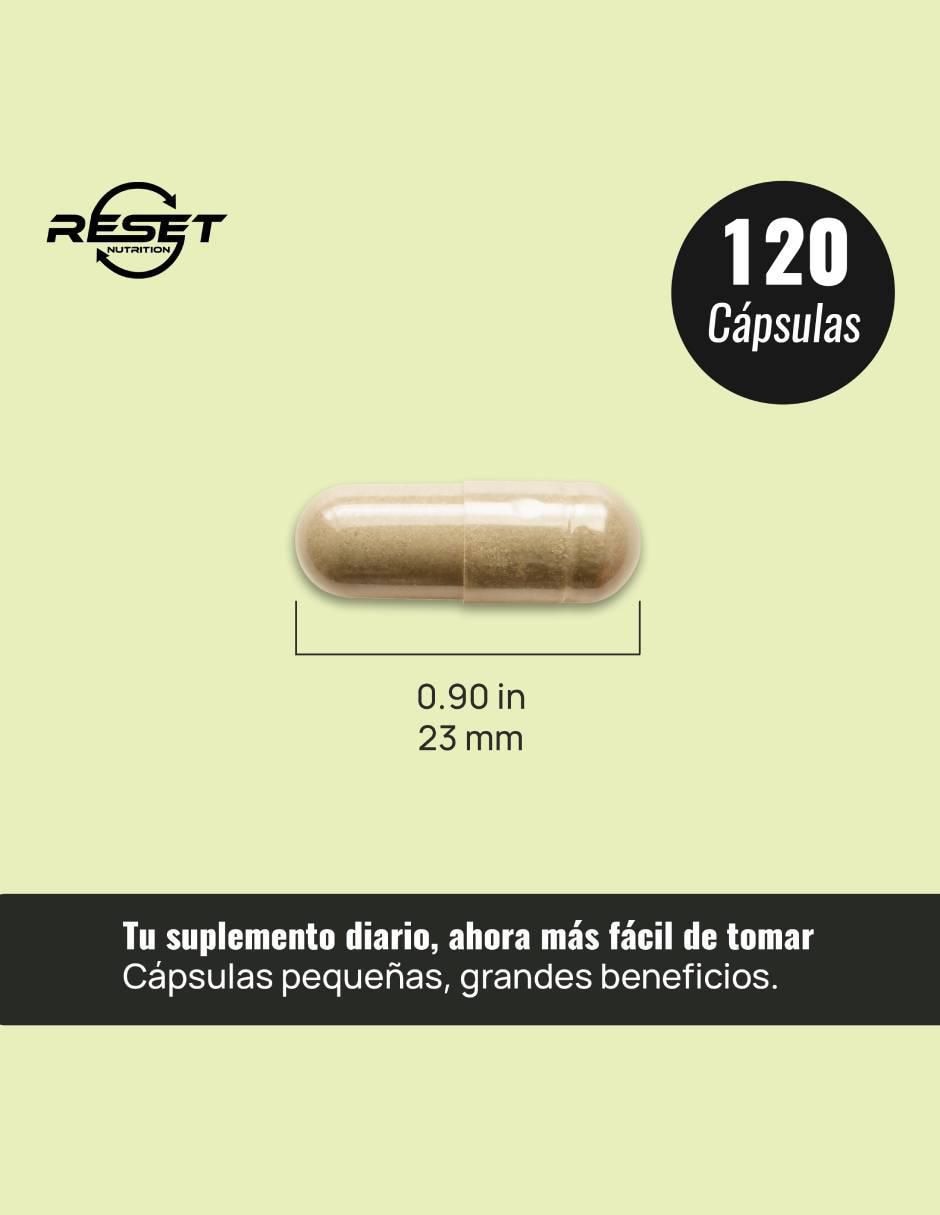 Suplemento para cálculos renales, salud urinaria y protección hepática con Chanca piedra de 120 Cápsulas 4