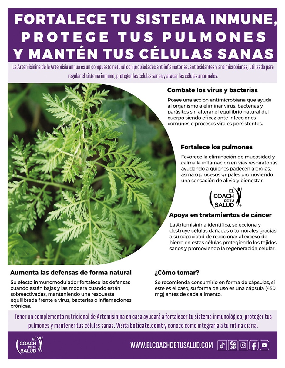 Suplemento alimenticio Artemisinina con quinghaosu (artemisia annua) de 120 cápsulas 4