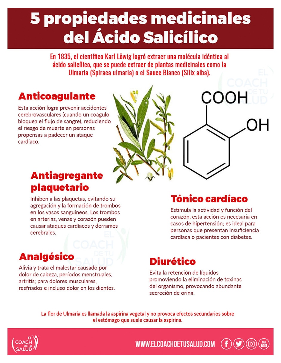 Set de suplemento alimenticio Fuente Natural de Ácido Salicílico con ulmaria-flor (Spiraea ulmaria) 2