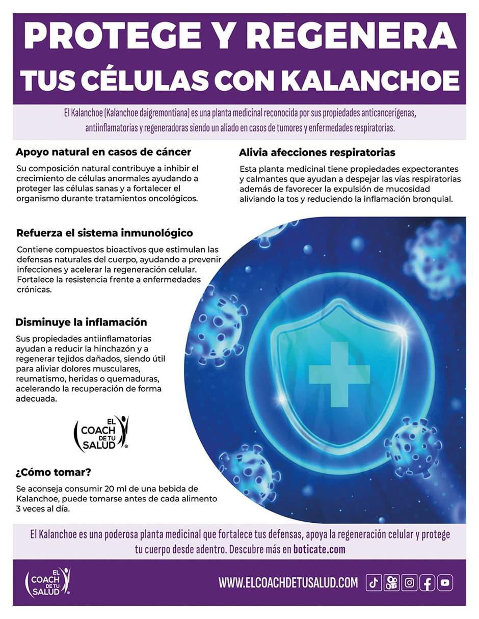 Suplemento alimenticio Berberina del Agracejo Indio con kalanchoe de 900 ml 4