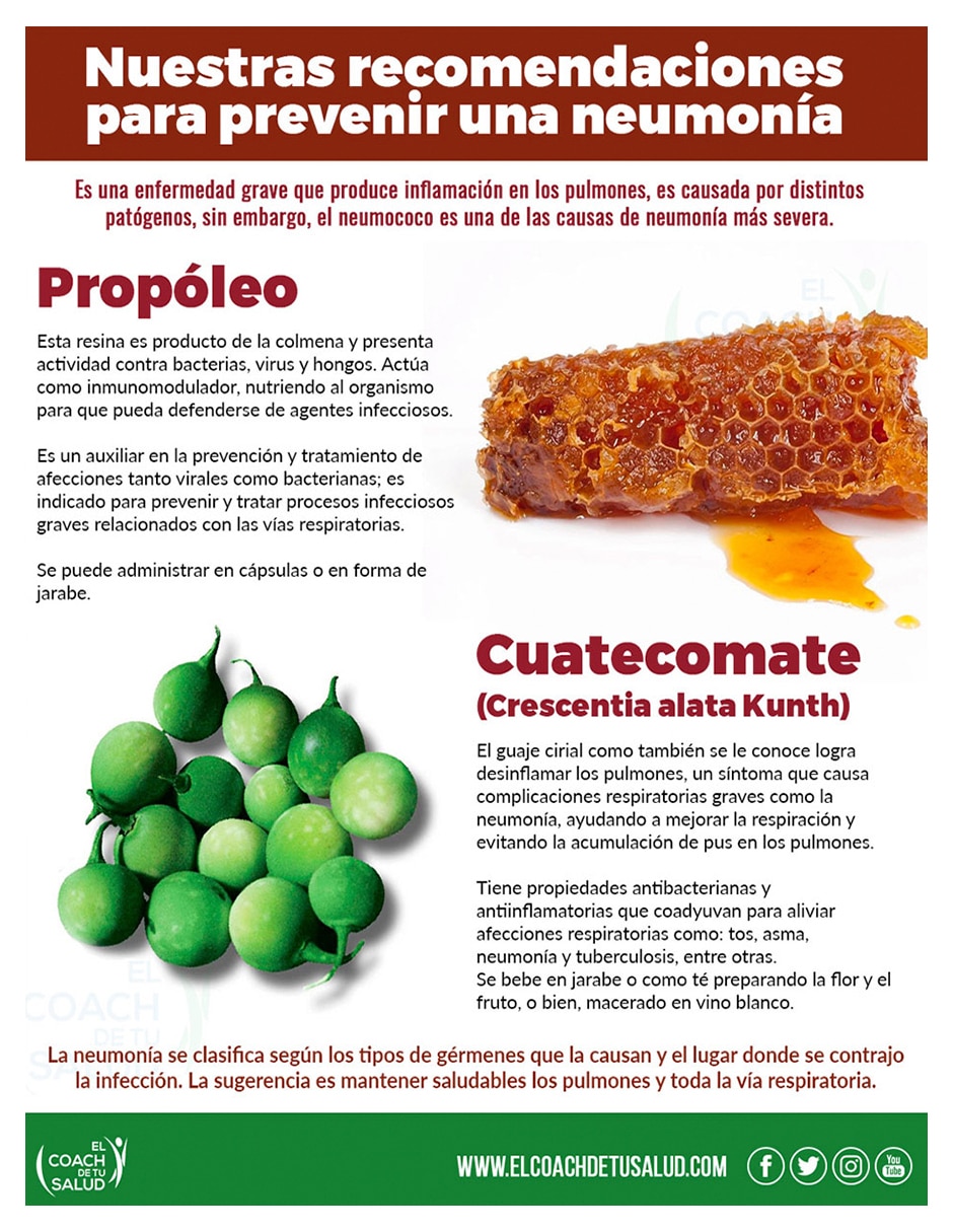 Elixir con cuatecomate de 500 ml 3