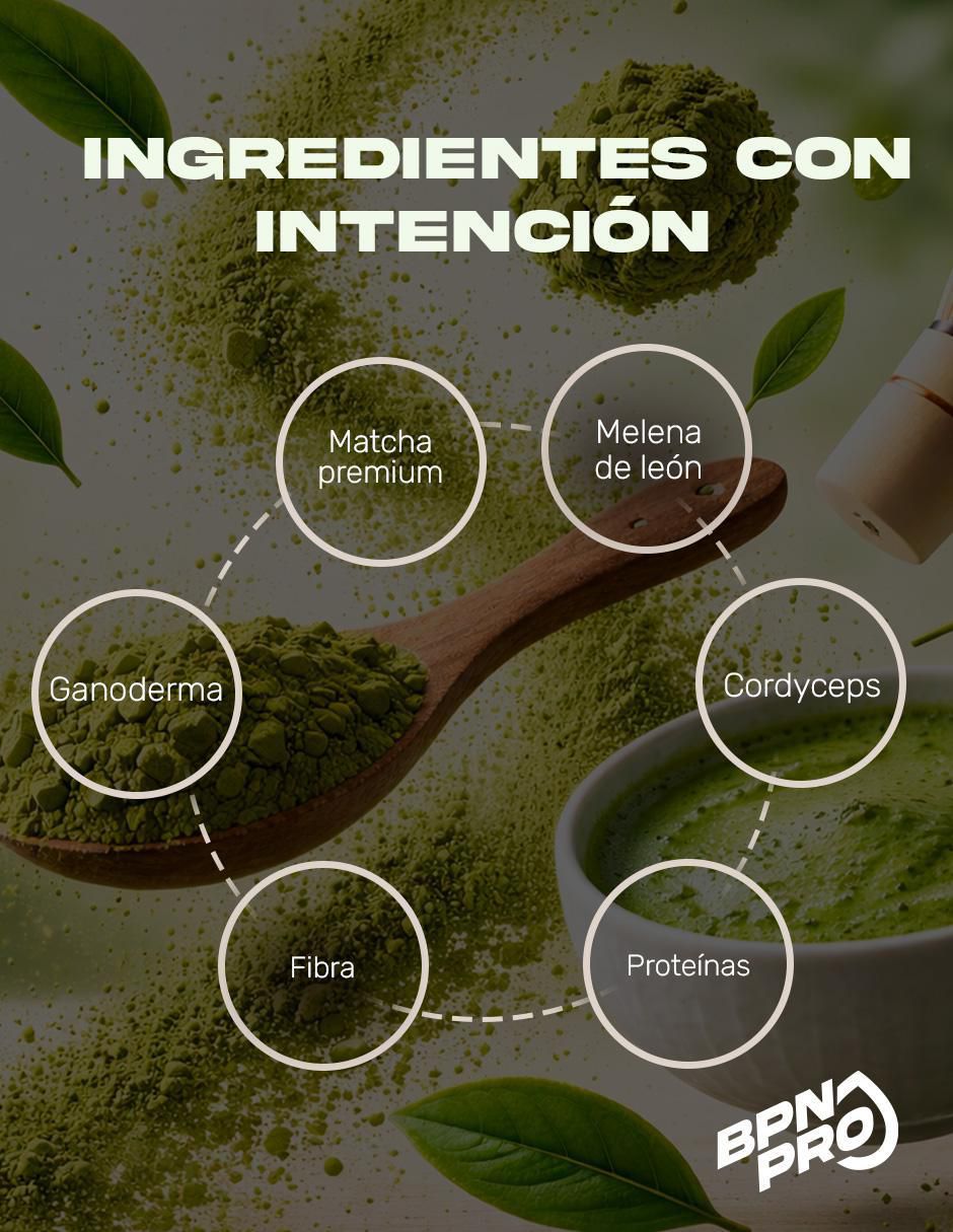 Matcha Con Adaptógenos con hongo reishi, melena de león y rodhiola rosea sabor matcha de 180 g 4